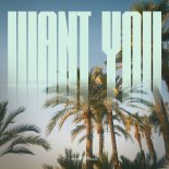 kondi - Want You