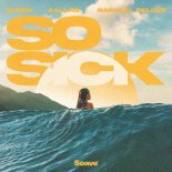 Shoby, AALLAR & Raphael DeLove - So Sick