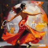 Andrew Barabancea - Como El Agua (Remix)