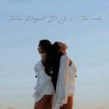 Twins Project DJ's - Too Much