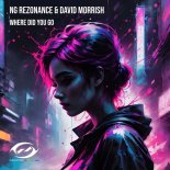 NG Rezonance & David Morrish - Where Did You Go (Extended Mix)
