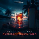 Reivix and Gia - AURINGONNOUSUHUMALA
