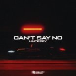 Lintrepy - Can't Say No