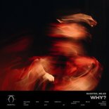 Rasster & Me.ee - Why