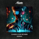 D.Hash & Ilya Sechkin - Burning