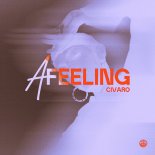 Civaro - A Feeling