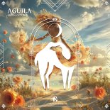 Engin Ozturk, Cafe De Anatolia - Aguila (Original Mix)
