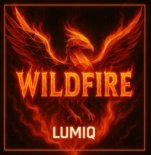 LUMIQ - Wildfire