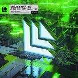 b1rdie & MANTZA - Just The Way I Want It (Extended Mix)