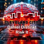 Daniel Distinkt - Risk It (Etended Mix)