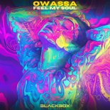 OWASSA - Feel My Soul (Original Mix)