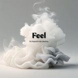 Dj Kapral - Feel
