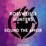 Hunters, Rossweisse - Sound The Amor (Original Mix)