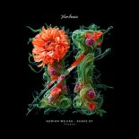 Adrian Mejias - Never Stop (Original Mix)
