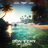 Julian Brandts & Jordiz Feat. LaRoxx Project - Don't Cry (My Love) (2K25)