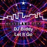 DJ Biddy - Let It Go (Original Mix)