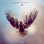 Jay Reeve & Noiseshock - Fly (Extended Mix)