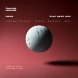 Dropa - What About Now (Original Mix)