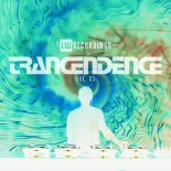 Simon Fischer & Peter Miethig - Quantum Waves (Original Mix)