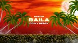 Daan'D - Baila (COIKY REMIX)