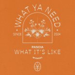 PASCIÀ - What It's Like (Extended Mix)