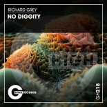 Richard Grey, David Harris - No Diggity (Original Mix)