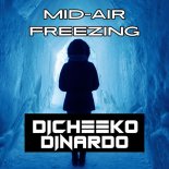 DICHEEKO & DINARDO - Mid Air Freezing