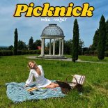 Mike Singer - Picknick