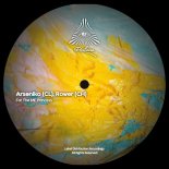 Rower (CH), Arseniko (CL) - For The MF Princess (Original Mix)