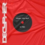 D-Tek - How Would You Say