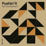 N.O.Y, Sheimus K - Pushin' It