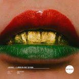 Janic - Lies In My Eyes