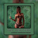 Tyla - Push 2 Start (Damian Harrison Remix)