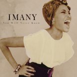 Imany - You Will Never Know (Funny Bubble Remix)