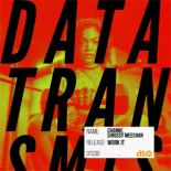 CHANNE, Chrissy Meechan - Work It (Original Mix)