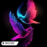 K3YN0T3, Nito-Onna & TECHNO KING - Birds Of A Feather