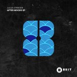 Julius Strieder - Drops (Extended Mix)