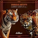 Kreisler & RMNY  -  Souls (Original Mix)
