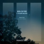 Nora En Pure feat. Richard Walters - Protected (SAFARIS Extended Remix)