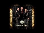 Shantel - Lipka 2025 (Cover)