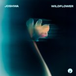 Joshwa - Wildflower (Extended Mix)