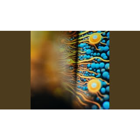 Joris Voorn-You & I (Extended Mix)