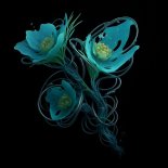 R3DN1K - Limerence (Original Mix)