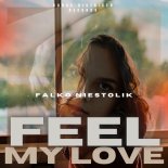 Falko Niestolik - Feel My Love (Club Mix)