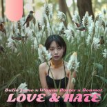 Dulio Jamo and Wayne Porter and Bonmot - Love and Hate