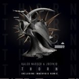 Kaled Nasser & Joevkid - Thorn (Innervoix Remix)
