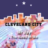Mr Jay - The Need in Me