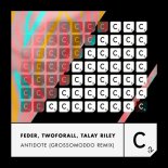 Feder, TwoForAll, Talay Riley - Antidote (GROSSOMODDO Extended Remix)