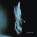 Tom Odell - Why Do I Always Want The Things That I Can't Have