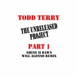 Todd Terry - Shine II Dawn (Will Alonso Remix)